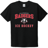 Scary Badgers Youth Tri-Blend Tee