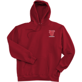 University of Tampa Super Heavyweight Fleece Hoodie