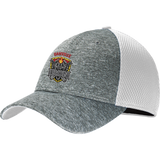 Danville Iron New Era Shadow Stretch Mesh Cap